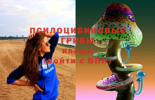 меф Новодвинск