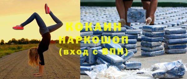 меф Новодвинск